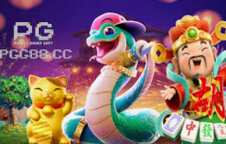 6686下载2024最新版